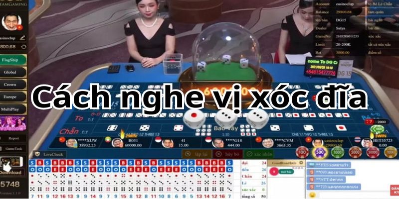 Cách nghe vị xóc đĩa đánh như cao thủ 2024