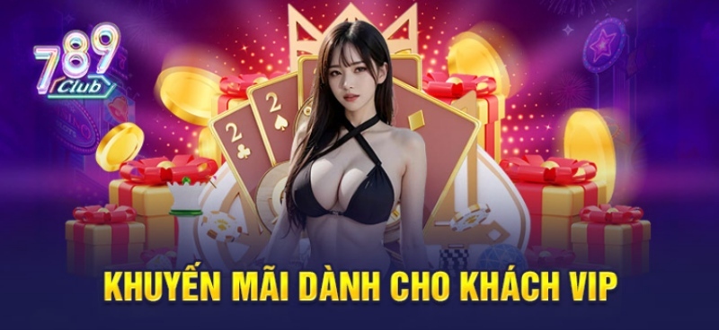 Những ưu đãi dành riêng cho khách hàng VIP 