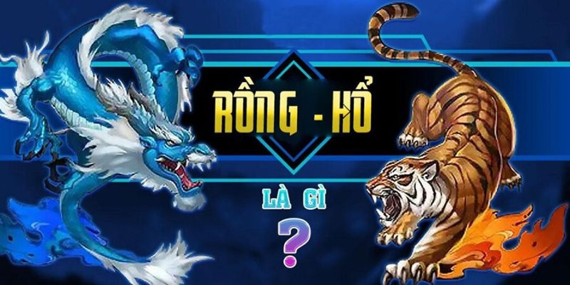 Tại sao nên lựa chọn 789club để chơi Rồng Hổ