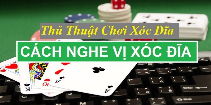 Vị xóc đĩa - những điều cần nắm